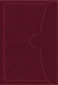 Santa Biblia / Holy Bible : Nueva Version International / New International Version, Vino, Italiana a Dos Tonos, Editorial Vida （LEA BLG）