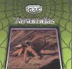 Tarantulas (Dangerous Spiders) （Library Binding）