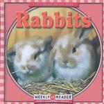 Rabbits (Let's Read about Pets)