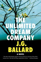 The Unlimited Dream Company （Reprint）