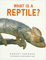What Is a Reptile? （Reprint）