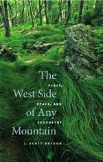 The West Side of Any Mountain : Place, Space, and Ecopoetry