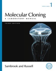 分子クローニング：実験マニュアル（第３版・全３巻）<br>Molecular Cloning : A Laboratory Manual （3RD）