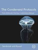 モレキュラー・クローニング・プロトコル要約<br>The Condensed Protocols from Molecular Cloning : A Laboratory Manual （1 LAB）