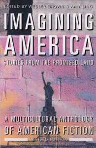 Imagining America : Stories from the Promised Land （Revised）