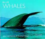 Blue Whales (Worldlife Library)