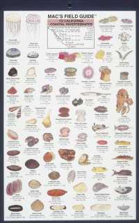 Mac's Field Guides: California Coastal Invertebrates (Mac's Guides (Flash Cards))