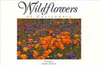 Wildflowers of California （Gift）