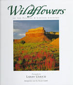 Wildflowers of the Plateau and Canyon Country
