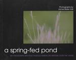 A Spring-Fed Pond