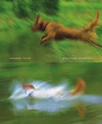ビューティフル・エヴィデンス<br>Beautiful Evidence