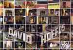 David Hoffos : Scenes from the House Dream