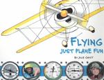 Flying : Just Plane Fun （1ST）