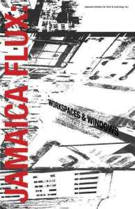 Jamaica Flux : Workspaces & Windows