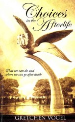 Choices in the Afterlife : What We Can Do and Where We Can Go after Death （Reprint）