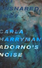 Adorno's Noise