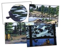 Leave Only Ripples : Northwoods Notecards （NCR）