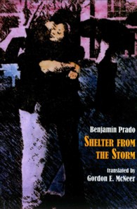 Shelter from the Storm (Hispanic Series) （Bilingual）