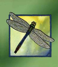 Dragonfly Blank Journal （JOU SPI）