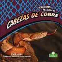 Cabezas de Cobre (Copperheads)