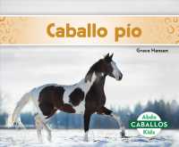 Caballo Pinto / Pinto Horses (Caballos / Horses)