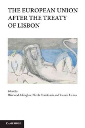 リスボン条約以後の欧州連合<br>The European Union after the Treaty of Lisbon