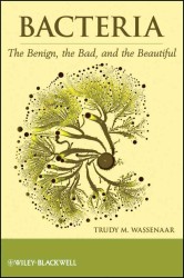 Bacteria : The Benign, the Bad, and the Beautiful