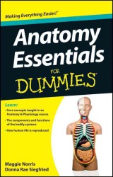 Anatomy Essentials for Dummies (For Dummies (Math & Science))