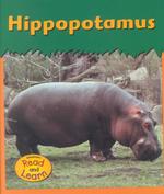Hippopotamus (Zoo Animals)