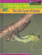 The Life Cycle of Insects (From Egg to Adult)