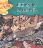 Hiding in a Forest (Animal Camouflage)