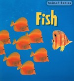 Fish (Animal Babies) （REV UPD）