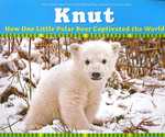 Knut : How One Little Polar Bear Captivated the World -- Paperback