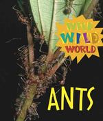 Ants (Wild Wild World)