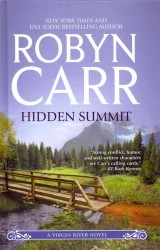Hidden Summit (Wheeler Large Print Book Series) （LRG）