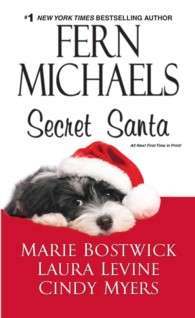 Secret Santa (Wheeler Large Print Book Series) （LRG）