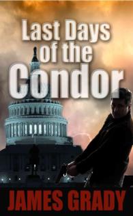 Last Days of the Condor (Thorndike Press Large Print Thriller) （LRG）