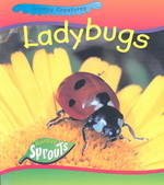 Ladybugs (Creepy Creatures)