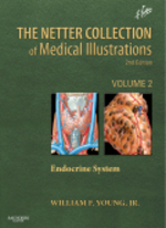 ネッター医学図譜コレクション（第２版）第２巻：内分泌系<br>The Netter Collection of Medical Illustrations: the Endocrine System : Volume 2 (Netter Green Book Collection) （2ND）