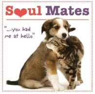 Soul Mates : '...you had me at hello'