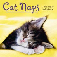 Cat Naps : The Key to Contentment