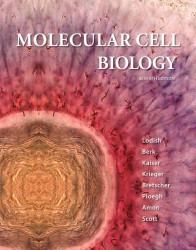 ロディッシュ分子細胞生物学（第７版）<br>Molecular Cell Biology (Molecular Cell Biology) （7TH）