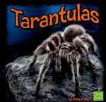 Tarantulas (First Facts)