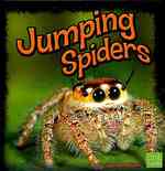 Jumping Spiders (First Facts)