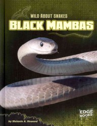 Black Mambas (Edge Books)
