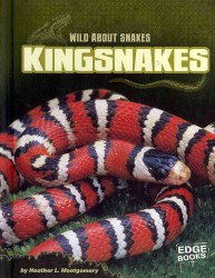 Kingsnakes (Edge Books)