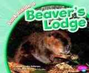 Look inside a Beaver's Lodge (Pebble Plus)