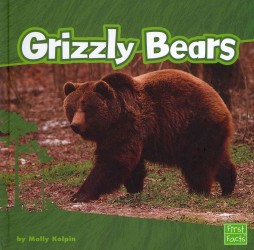 Bears (4-Volume Set) (Bears)