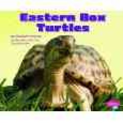 Eastern Box Turtles (Pebble Plus)