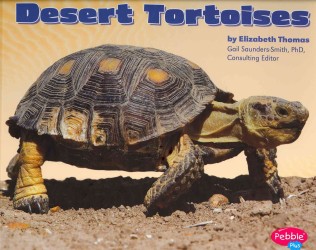 Desert Tortoises (Pebble Plus)